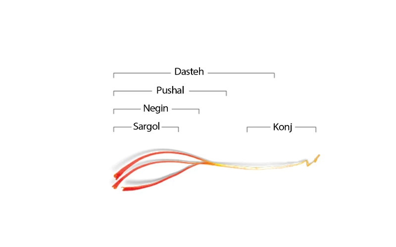 Eine Grafik zeigt einen einzelnen Safranfaden und kennzeichnet dessen verschiedene Abschnitte mit den Begriffen Dasteh, Pushal, Negin, Sargol und Konj.